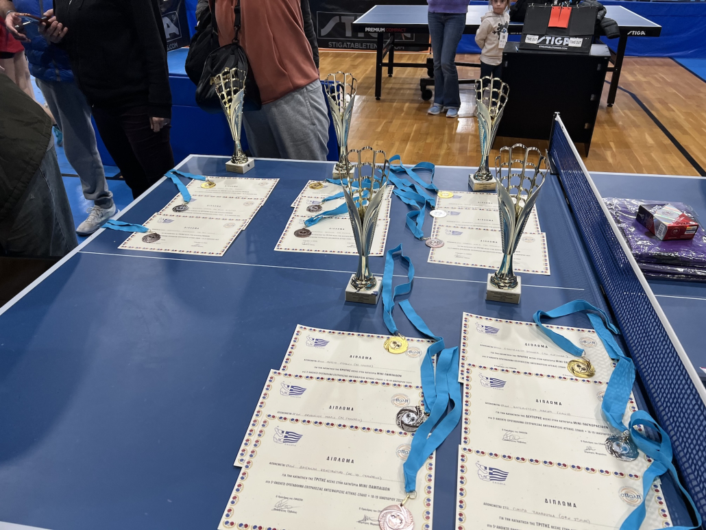 developmental-ping-pong-tournament